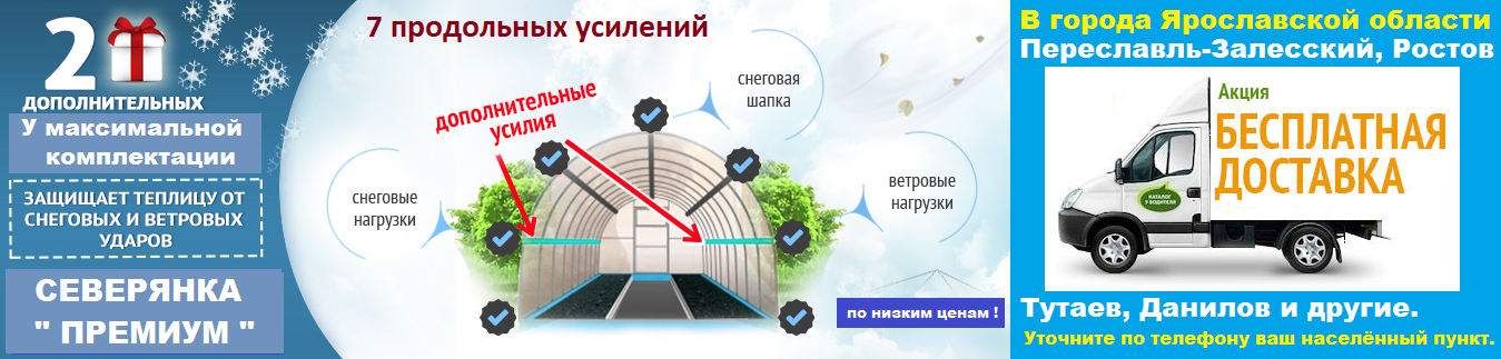 Дача сад теплицы