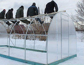 Дача теплица.